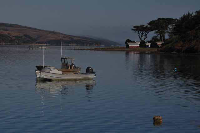 Tomales Bay